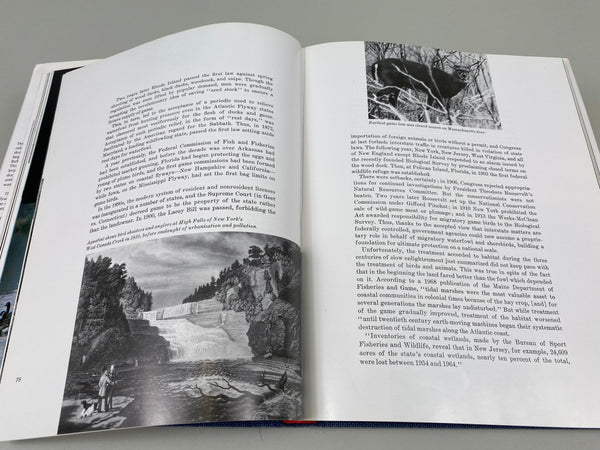 2 Books- Decoys of the Mississippi Flyway, and The Atlantic Flyway