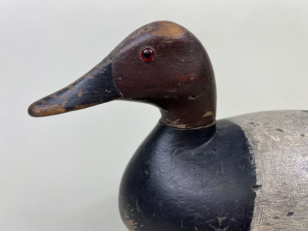John R. Wells Canvasback Drake, Circa 1920's (#4703)