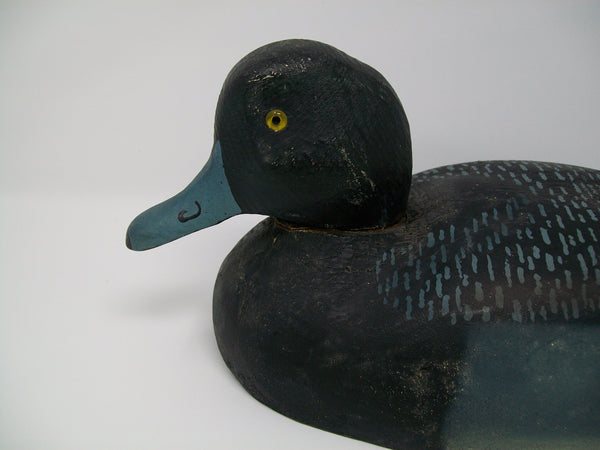 Herters 1893 Series Bluebill Drake, Stamped (#3134)