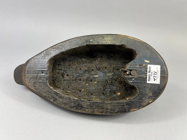 Michigan Black Duck Schmidt influence (#4771)