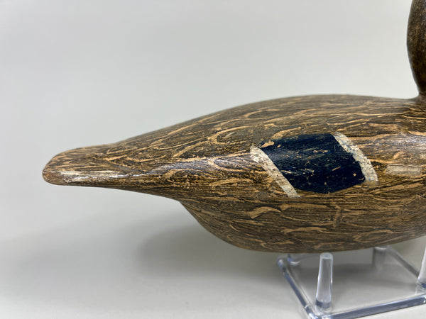 Otto Garren Mallard Hen (#8736)