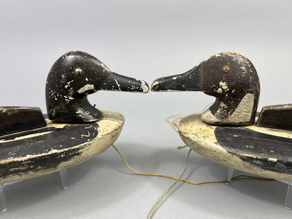 Folky Pair of Unknown Wisconsin Pintails (#3944)
