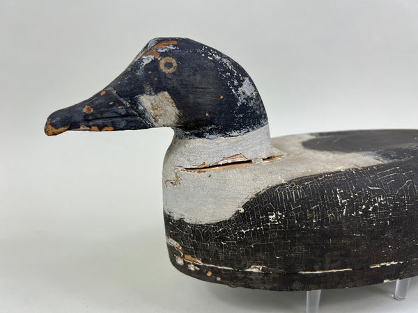 Cape Vincent Golden Eye Drake, Circa 1900 (#5251)