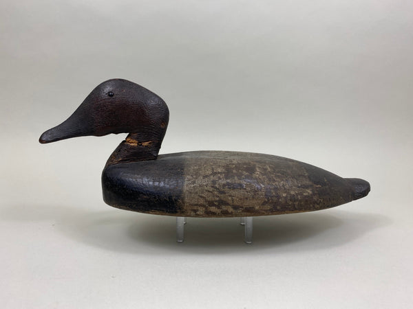 Sam Archer Canvasback, Circa 1900's (#3763)