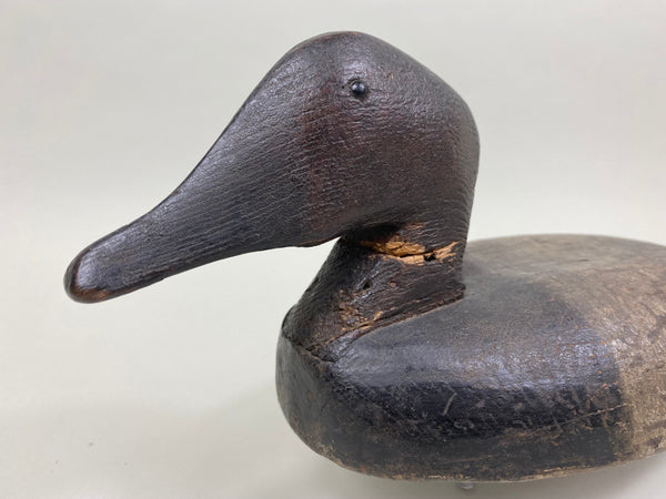Sam Archer Canvasback, Circa 1900's (#3763)