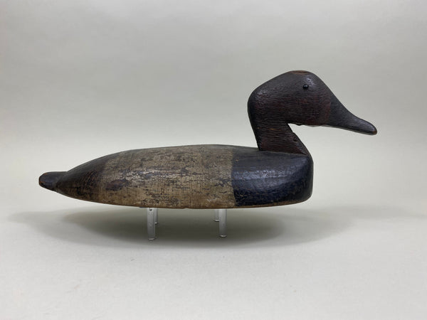 Sam Archer Canvasback, Circa 1900's (#3763)