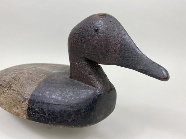 Sam Archer Canvasback, Circa 1900's (#3763)