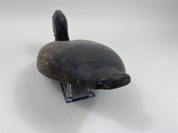 Sam Archer Canvasback, Circa 1900's (#3763)