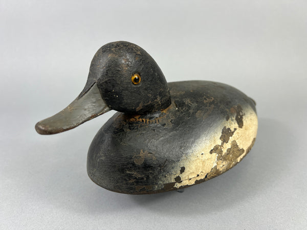 Quillen Style Bluebill (#3937)