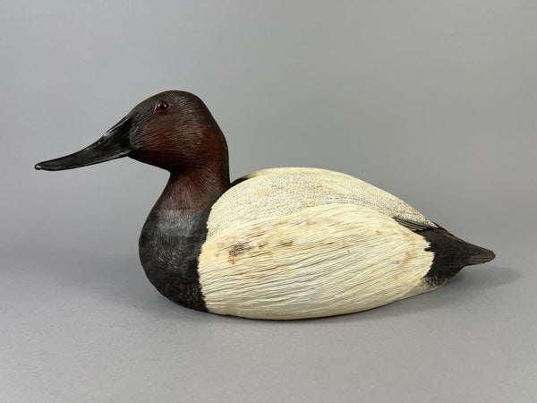 Donna Tonelli Hand Carved Canvasback Drake (#9275)