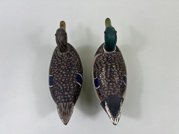 Schoenheider, Jr. 2/3 size Mallards Pair, Circa 1950 (#3856)