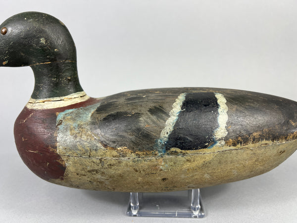 Unknown Early Illinois River Mallard Drake, Circa 1920’s (#181)