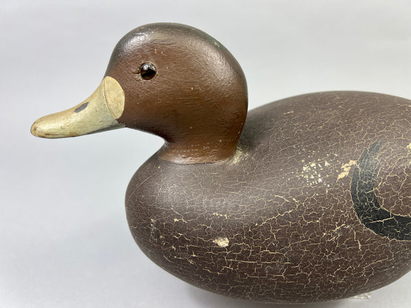 Keyes Chadwick Pair of Bluebills, Original Paint (#4847)