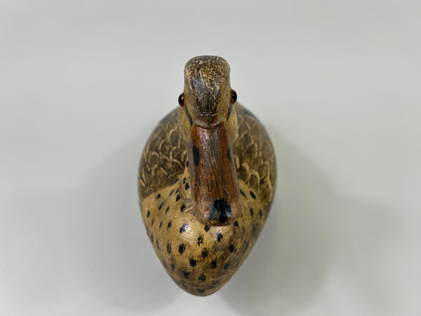 Otto Garren Mallard Hen (#8736)