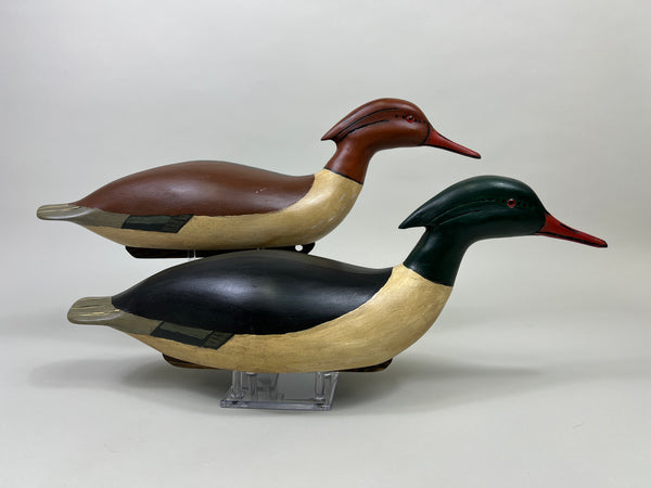 Pair of Swimming Common Mergansers (#5300)