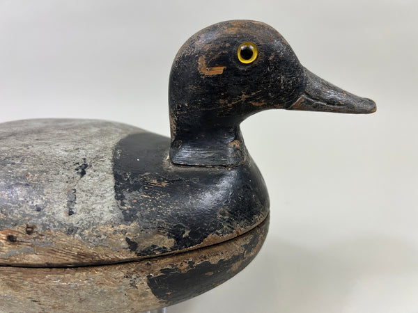 Illinois River Hollow Blue Bill, Circa 1920's (#4034)