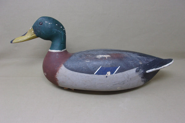 Mike Vallero Mallard Drake, Circa 1920's (#4009)