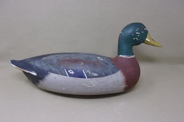 Mike Vallero Mallard Drake, Circa 1920's (#4009)