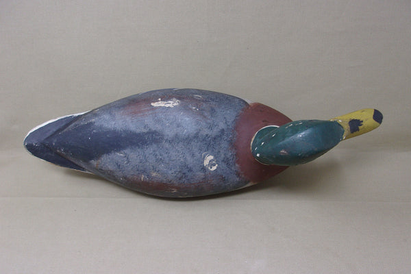 Mike Vallero Mallard Drake, Circa 1920's (#4009)