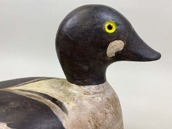 Upstate New York Goldeneye Drake, Circa 1930's (#4033)