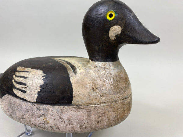 Upstate New York Goldeneye Drake, Circa 1930's (#4033)