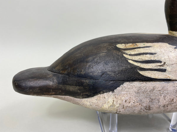 Upstate New York Goldeneye Drake, Circa 1930's (#4033)