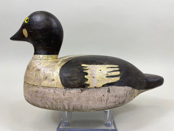 Upstate New York Goldeneye Drake, Circa 1930's (#4033)