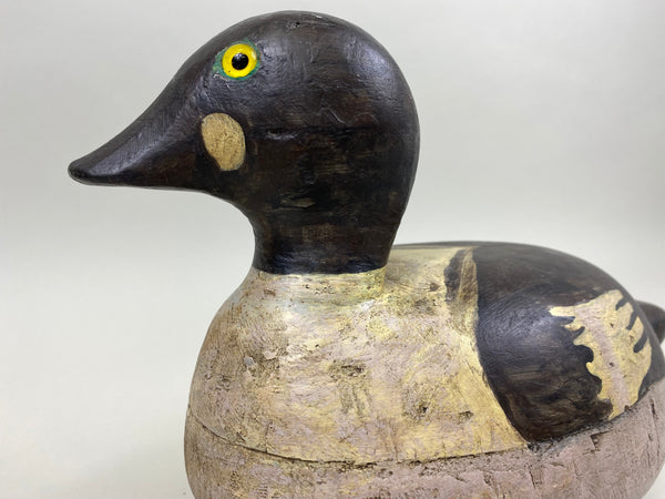 Upstate New York Goldeneye Drake, Circa 1930's (#4033)