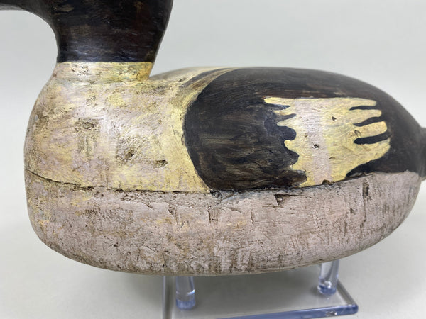 Upstate New York Goldeneye Drake, Circa 1930's (#4033)