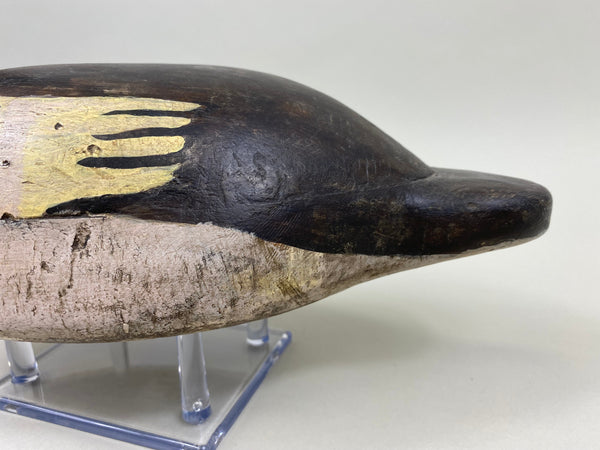 Upstate New York Goldeneye Drake, Circa 1930's (#4033)