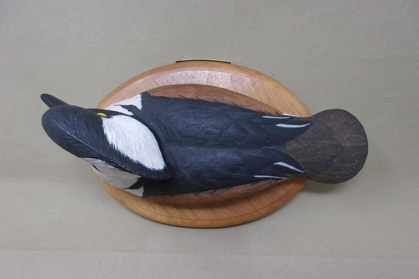 Dan Elberg Hooded Merganser- Ducks Unlimited (#4044)