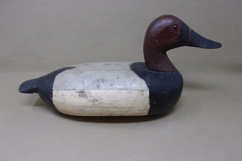 Illinois River Canvasback Drake, Circa 1910's (#4086)