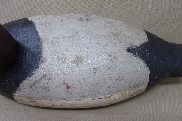 Illinois River Canvasback Drake, Circa 1910's (#4086)