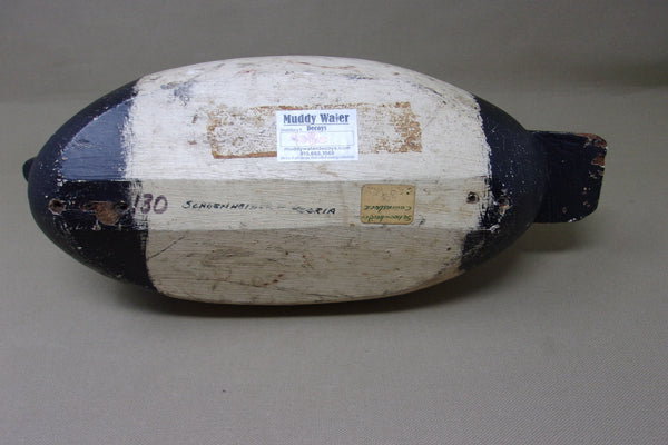 Illinois River Canvasback Drake, Circa 1910's (#4086)