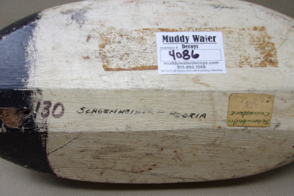 Illinois River Canvasback Drake, Circa 1910's (#4086)