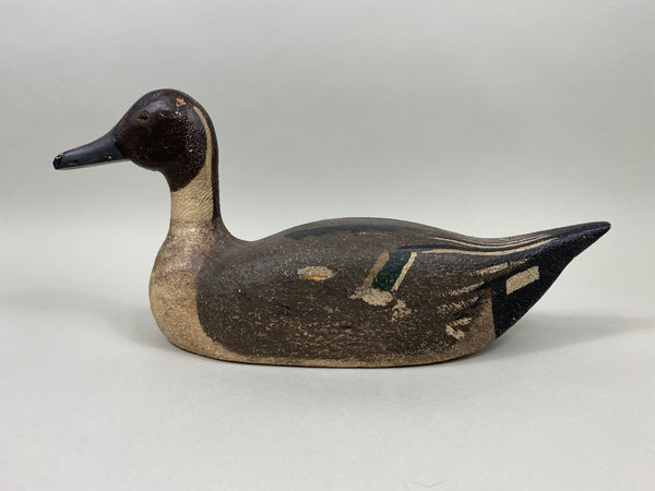 Unknown California Pintail, Circa 1940's (#4126)
