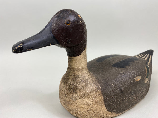 Unknown California Pintail, Circa 1940's (#4126)