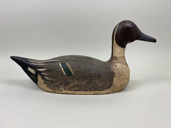 Unknown California Pintail, Circa 1940's (#4126)