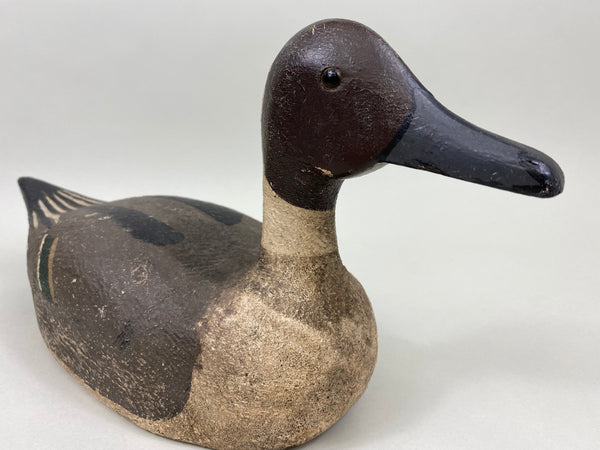 Unknown California Pintail, Circa 1940's (#4126)