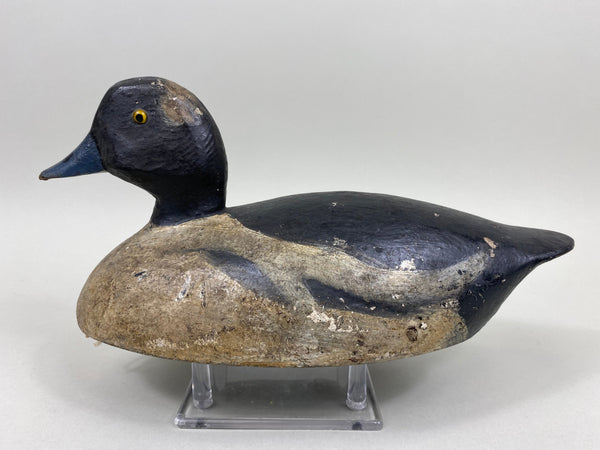 Toronto Bufflehead, Circa 1920's, Dashner Collection (#4127)