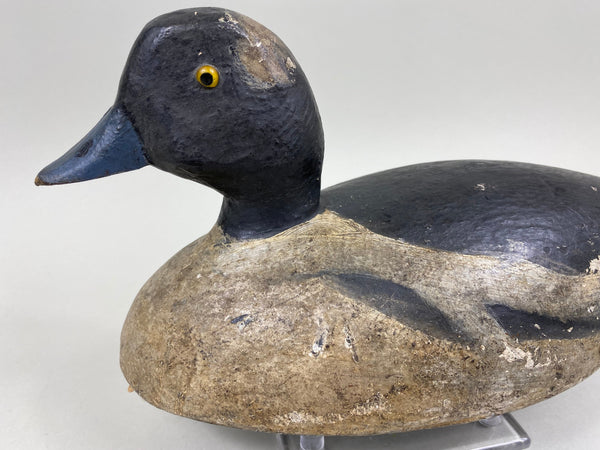 Toronto Bufflehead, Circa 1920's, Dashner Collection (#4127)