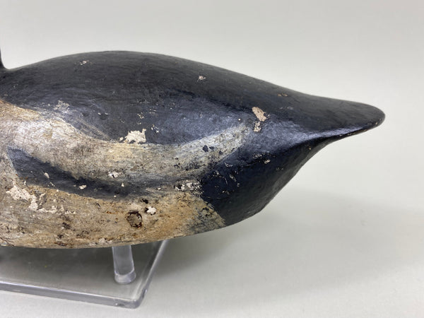 Toronto Bufflehead, Circa 1920's, Dashner Collection (#4127)