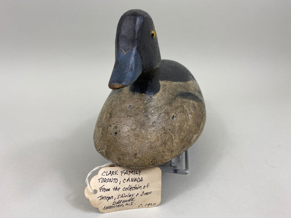 Toronto Bufflehead, Circa 1920's, Dashner Collection (#4127)