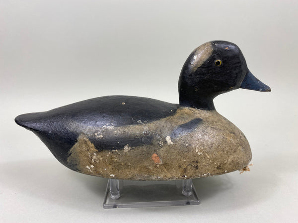 Toronto Bufflehead, Circa 1920's, Dashner Collection (#4127)