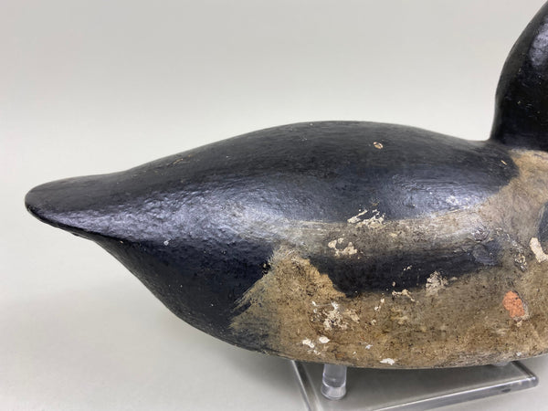 Toronto Bufflehead, Circa 1920's, Dashner Collection (#4127)