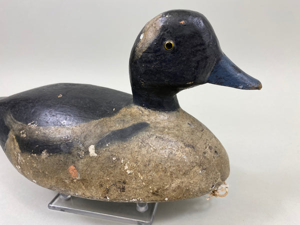 Toronto Bufflehead, Circa 1920's, Dashner Collection (#4127)