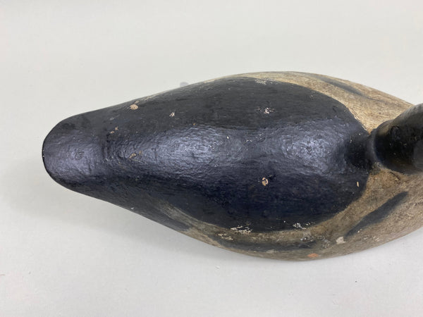 Toronto Bufflehead, Circa 1920's, Dashner Collection (#4127)