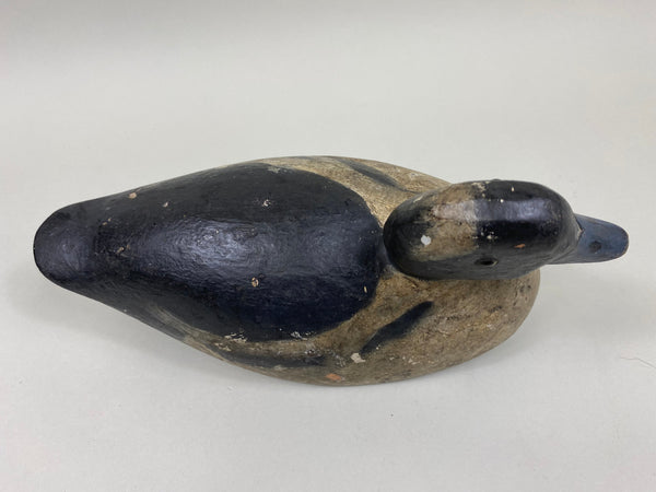 Toronto Bufflehead, Circa 1920's, Dashner Collection (#4127)