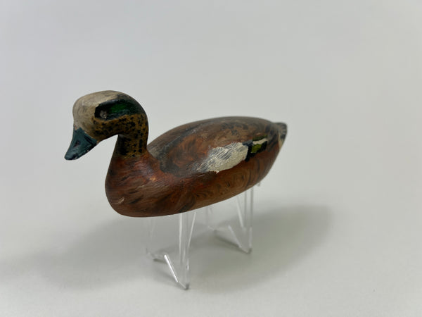 Miniature Unknown Wigeon Drake (#5128)