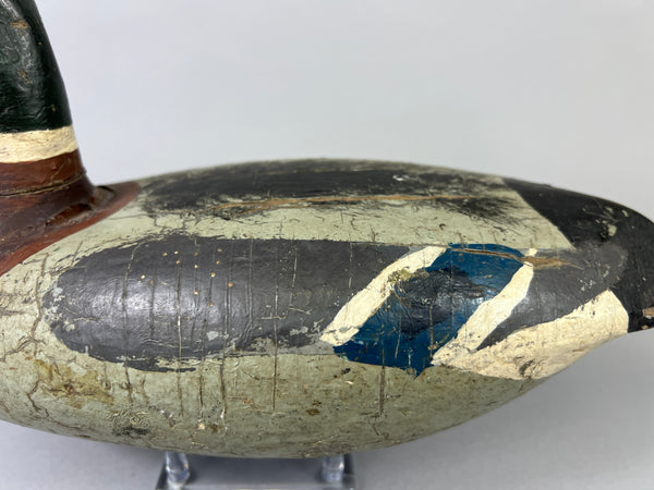 Leonard Doren Mallard Drake (#3644)